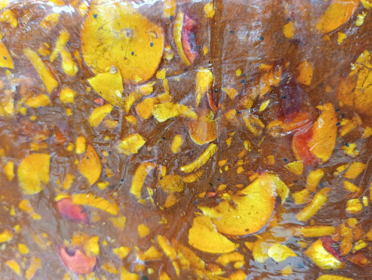 لواشک چند میوه استوایی ملس